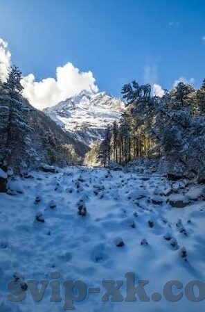 足球比赛比分平-绿茵场上的平衡艺术，当足球比赛比分定格为平