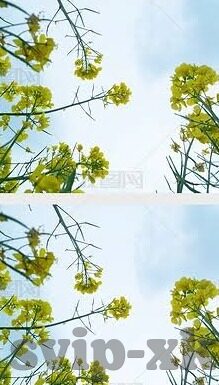 足球彩票比分赔-深度解析，足球彩票比分赔率背后的逻辑与投注策略
